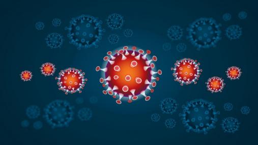 Proposta di Legge A.C. 2462 – Benefici vittime del dovere a chi ha prestato servizio in attività di prevenzione e contrasto COVID-19.
